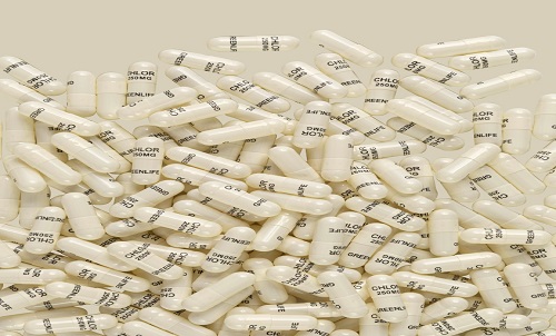What is the knowledge about Empty Hard Gelatin Capsules?
